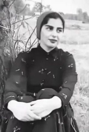 عکس منتشر شده در سایت هه‌نگاو 