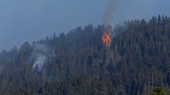 ترکیه برای مقابله با آتشسوزی در آتن، هواپیما و هلیکوپتر آتشنشان به یونان فرستاد