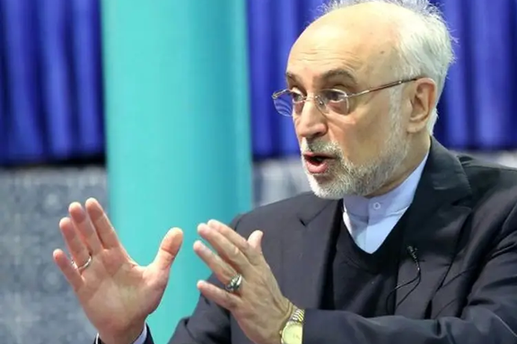 صالحی، وزیر خارجه پیشین: آیا رای ندادن چارهای مناسب برای اعتراض به مشکلات معیشتی است