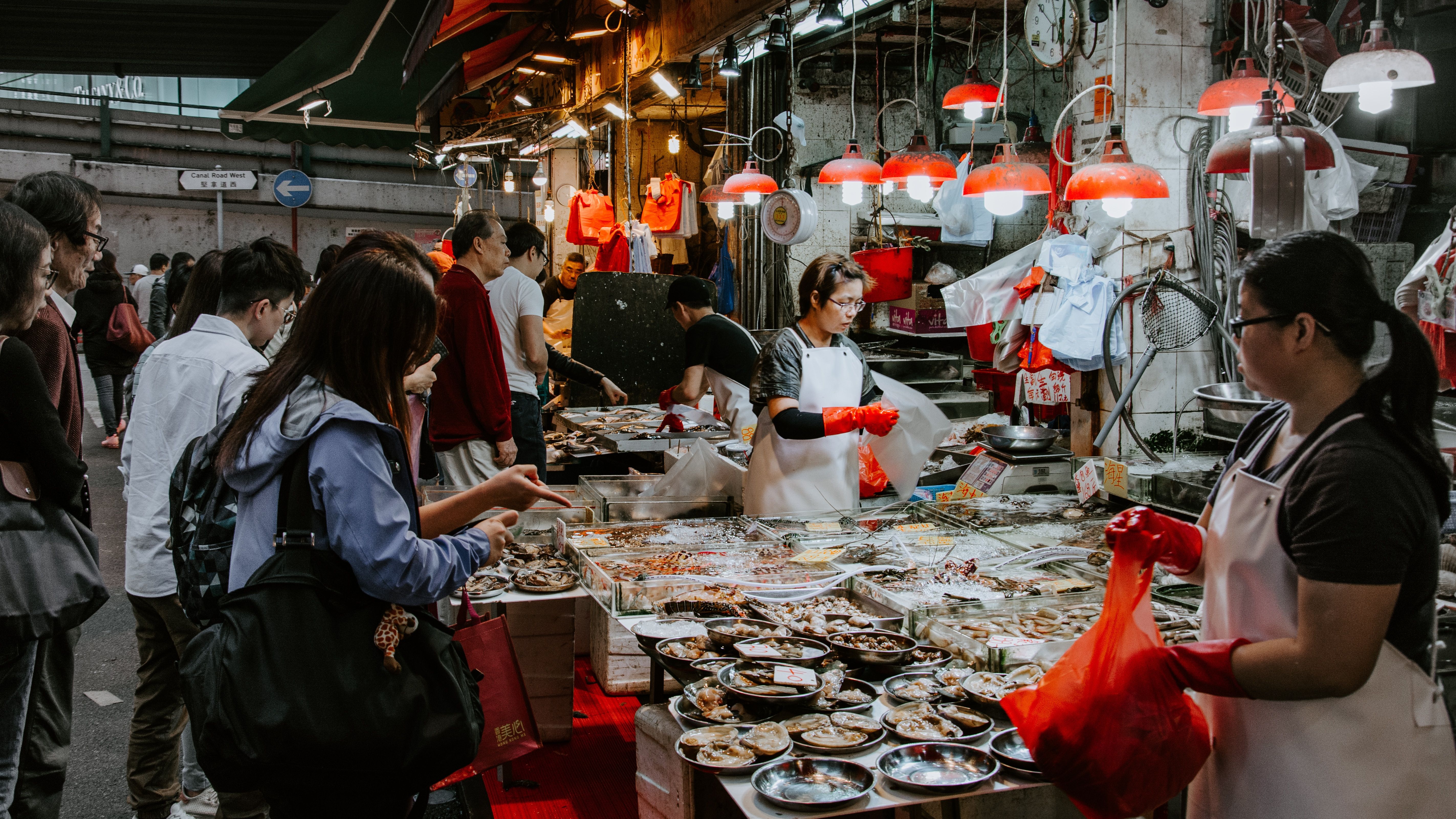  کنفرانس «سی‌اوپی۱۵» سازمان ملل متحد چیست؟