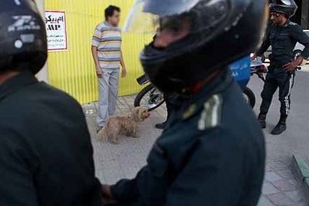 نیروی انتظامی تهران از آغاز طرح برخورد با سگگردانی خبر داد