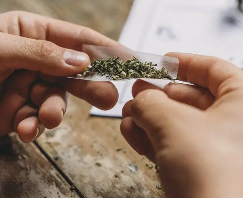 یک روان‌پزشک و درمان‌گر اعتیاد: گل موجود در ایران با قارچ و کپک مخلوط شده است