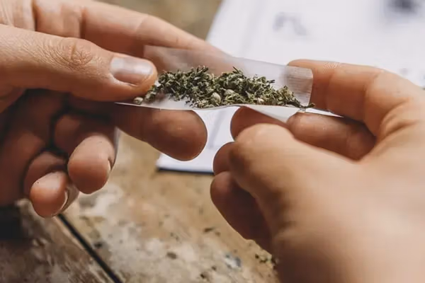 یک روانپزشک و درمانگر اعتیاد: گل موجود در ایران با قارچ و کپک مخلوط شده است