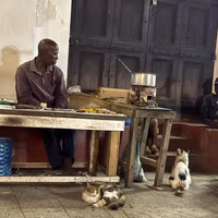 شرق آفریقا در چند پرده، آنچه دیکتاتورها نمیبینند