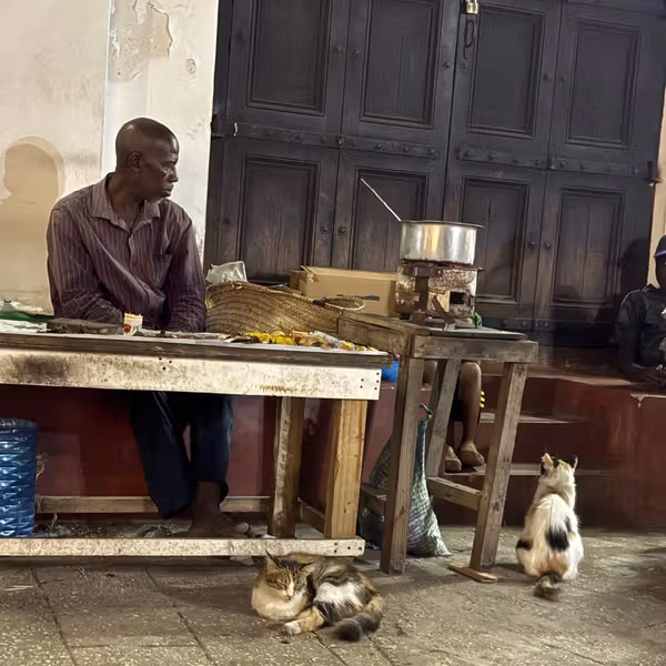 شرق آفریقا در چند پرده، آنچه دیکتاتورها نمیبینند