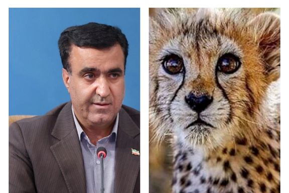 رییس سازمان محیط زیست درباره مرگ پیروز: ممکن است ماهواره هم در پرتاب دچار مشکل شود