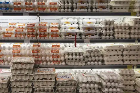 ایران؛ جایی که تخممرغ سرمایه مطمئنتری از پول نقد است