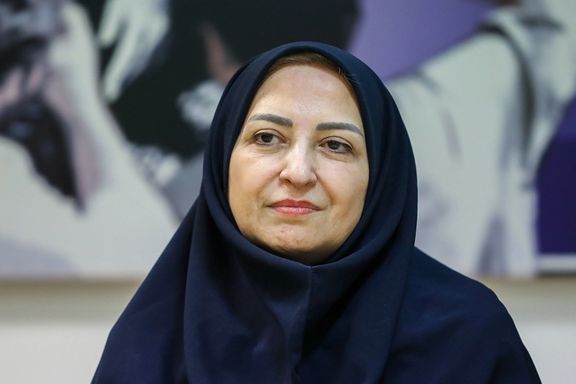 رییس سازمان حفاظت محیط زیست: منابع طبیعی در حال غارت است