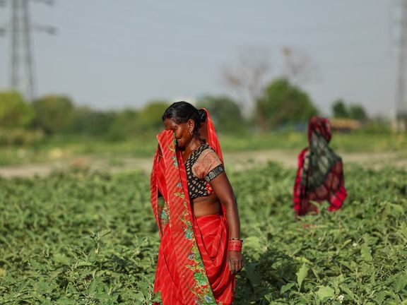 گرمای هند جان دستکم ۵۴ نفر را گرفت