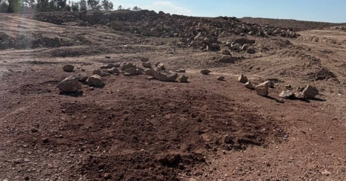 Iran secretly buries executed Swedish citizen at site linked to mass graves