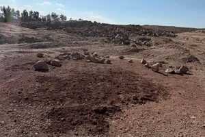 Iran secretly buries executed Swedish citizen at site linked to mass graves