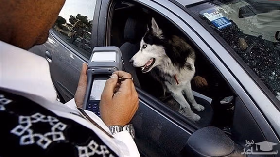 Police giving a ticket to a driver for having a dog outside the home.