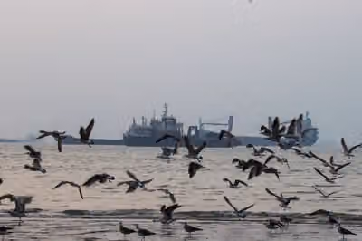 Hormuz diplomacy stalls as attacks deepen pressure on Persian Gulf oil routes