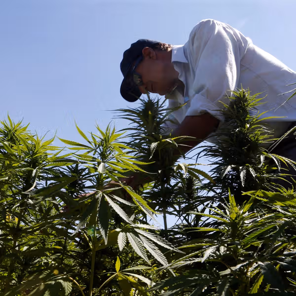 یک لبنانی تحت تحریمهای آمریکا و متهم به قاچاق مواد مخدر و ارتباط با حزبالله بازداشت شد