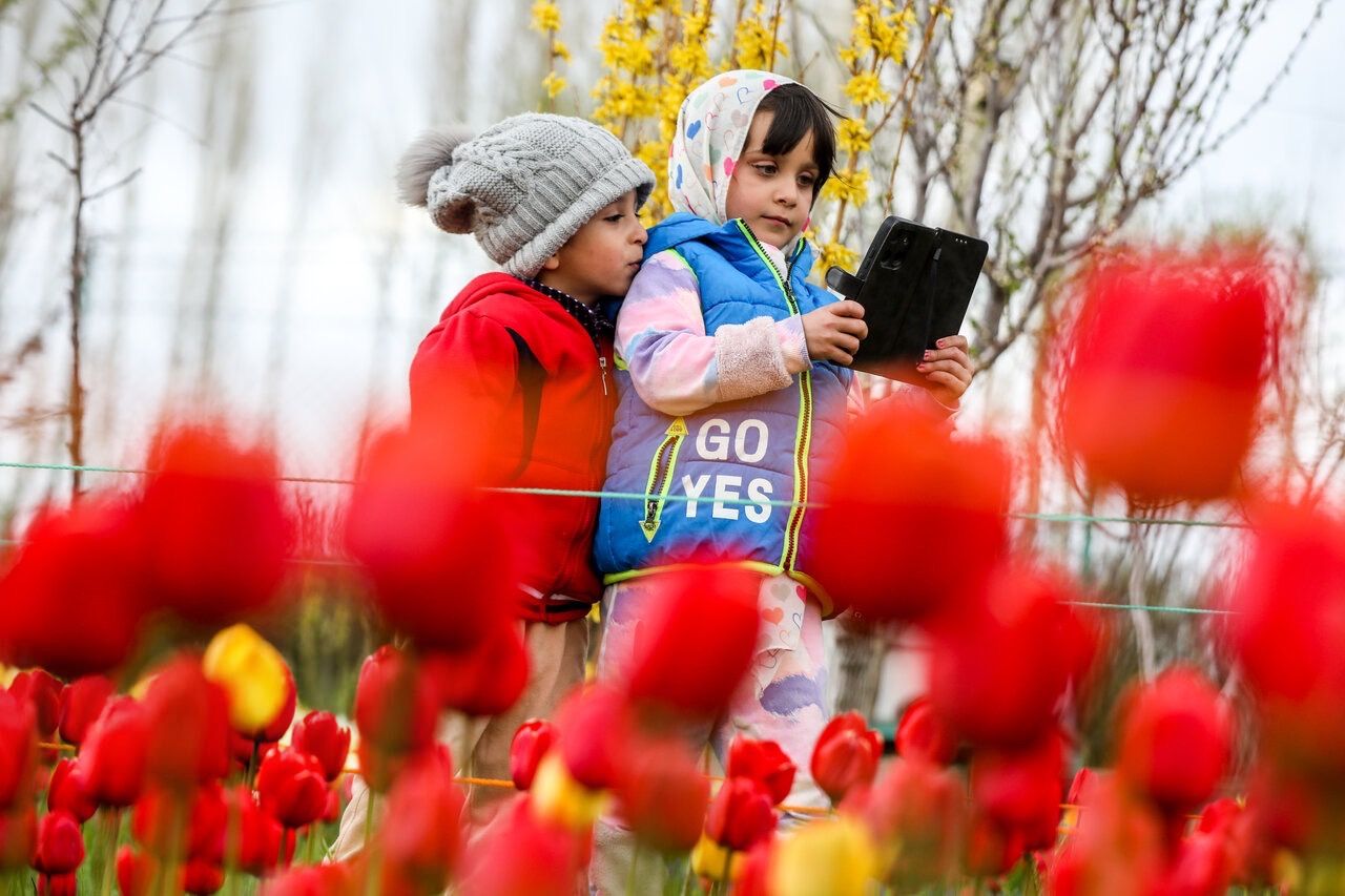 Could Iran be building a Chinese-style internet system?