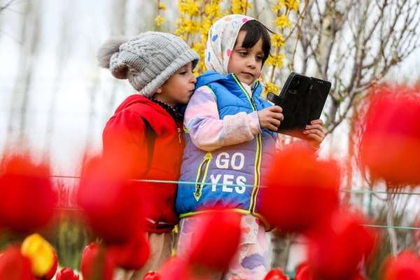 Could Iran be building a Chinese-style internet system?