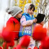 Could Iran be building a Chinese-style internet system?