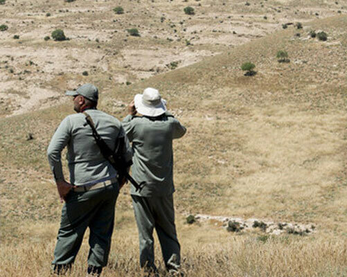 سه محیطبان در آمل مجموعا به ۹ سال حبس محکوم شدند