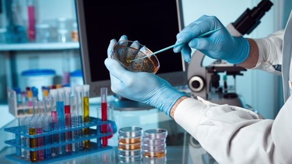 تلاشها برای درمان بیماری با تبدیل سلولهای انسانی به رباتهای کوچک بیولوژیک