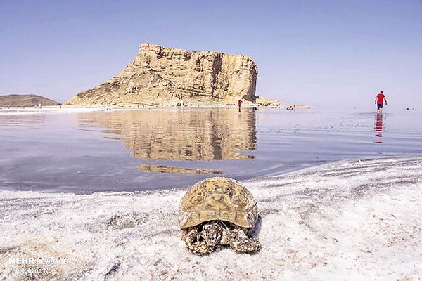 Iran Denies Chinese Involvement In Lake Urmia Lithium Extraction