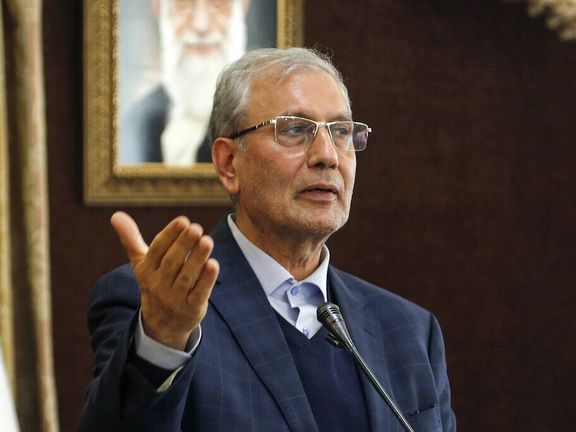 سخنگوی دولت: شور و شوق انتخاباتی میان مردم و همه جریانها در حال افزایش است