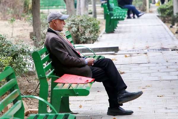 رییس دانشکده توانبخشی تهران: فشار اقتصادی از عوامل افزایش طلاق سالمندان بالای ۶۰ سال است