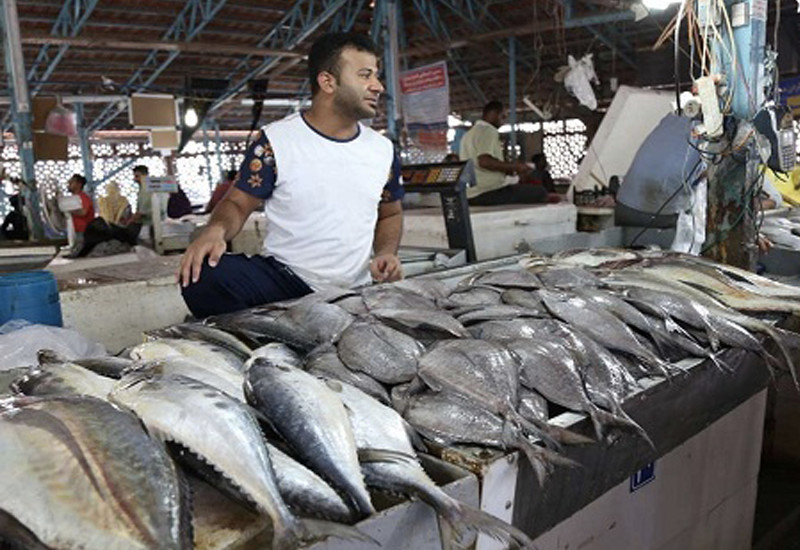 گزارش‌ها درباره کاهش قدرت خرید مردم؛ روزنامه دولت: خرید بوقلمون، ماهی و میگو افزایش یافته