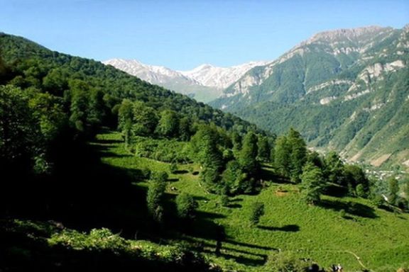 جنگلهای زاگرس در ۱۱ استان کشور گسترده شدند و حدود ۱۰ میلیون نفر از جمعیت کشور در زیستبوم جنگلهای زاگرس زندگی میکنند. ۴۰ درصد آب شیرین کشور در این جنگلها تولید میشود.