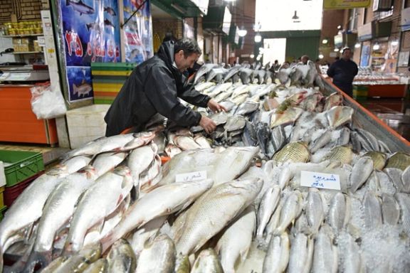 مرکز آمار ایران: قیمت ماهی در چهار سال اخیر شش برابر شده است