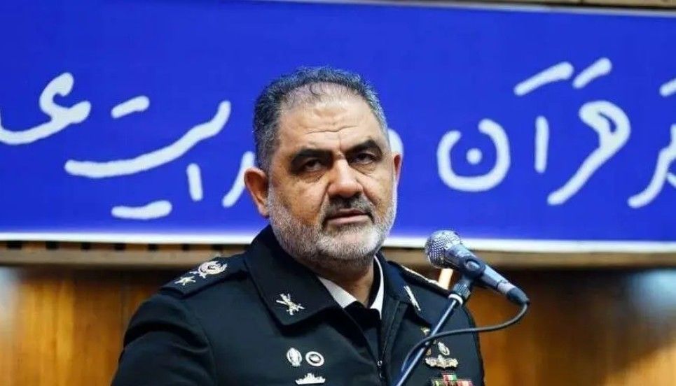 فرمانده نیروی دریایی ارتش: دلفین‌های خلیج فارس برای نمایش اقتدار در تنگه هرمز روی آب آمدند