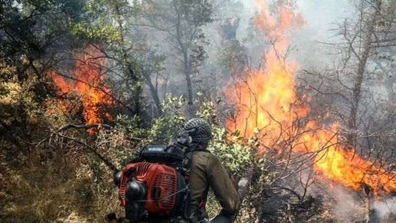 سه فعال محیط زیست هنگام مهار آتشسوزی در آبیدر سنندج کشته شدند