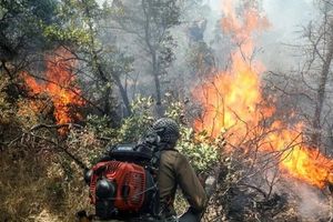 سه فعال محیط زیست هنگام مهار آتشسوزی در آبیدر سنندج کشته شدند