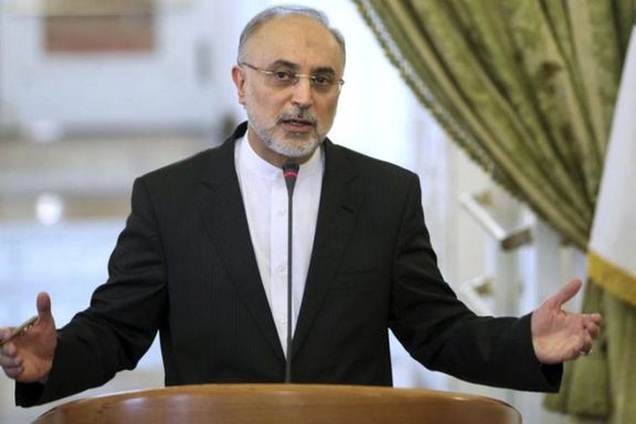 Former foreign minister and chief nuclear negotiator Ali-Akbar Salehi. File