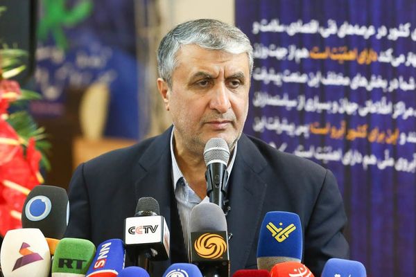 رئيس الطاقة الذرية الإيرانية: الوكالة الدولية لا تملك حق التفتيش على منشآتنا