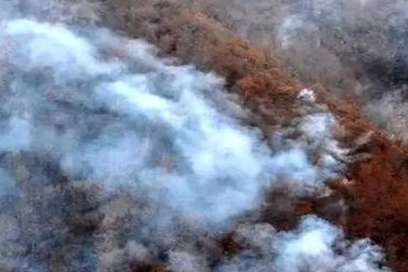 فرمانده حفاظت سازمان منابع طبیعی: آتشسوزی اخیر ۱۰ هکتار از اراضی جنگلی الیت را نابود کرد