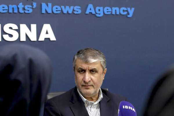 Iran's Nuclear Chief Reiterates Demand To Shelve IAEA Probe