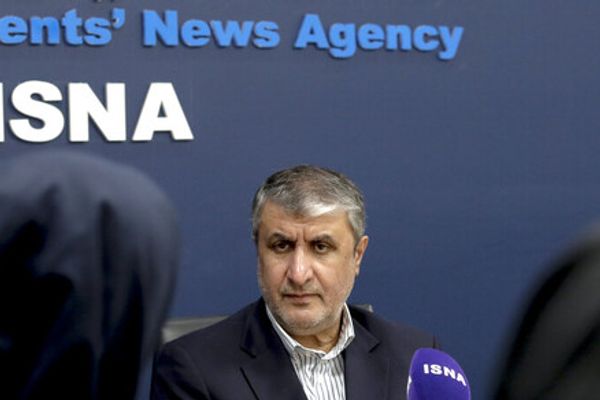 Iran's Nuclear Chief Reiterates Demand To Shelve IAEA Probe