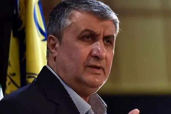 رئيس منظمة الطاقة الذرية الإيرانية: ليس للوكالة الدولية الحق في فرض المفتشين علينا