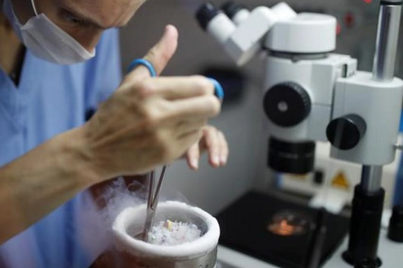 کاهش تعداد اسپرم بقای انسان را تهدید میکند