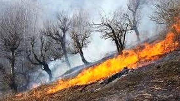 منطقه حفاظت شده «کوه سرخ» گچساران در آتش میسوزد
