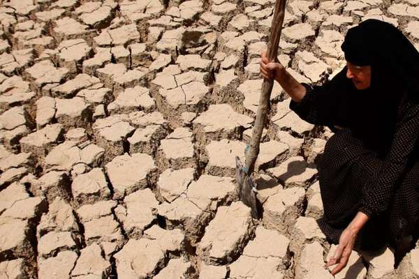 جان دادن از تشنگی زیر باران؛ در «برنامه با کامبیز حسینی» چه اتفاقی افتاد؟