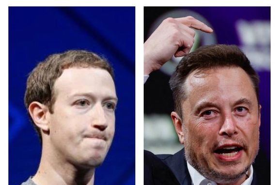 ایلان ماسک و مارک زاکربرگ برای «مبارزه در قفس» با یکدیگر به توافق رسیدند