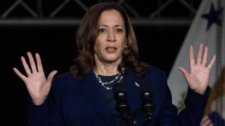 چالشهای کارزار هریس: پیام، سازمان حزبی و مدیریت