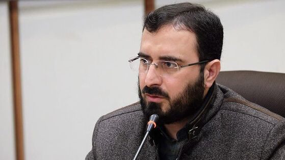 معاون وزارت ارشاد: کسانی که از داخل کشور با «عنکبوت مقدس» همکاری کردهاند دستگیر میشوند