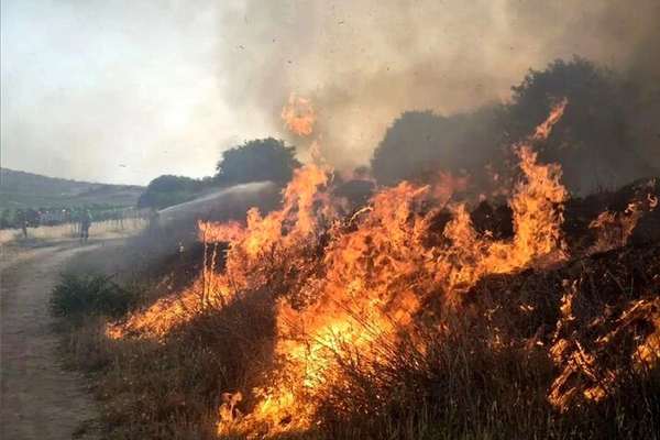 روزنامه شرق: یک داوطلب مردمی در هنگام مهار آتشسوزی منطقه بدیل جان باخت