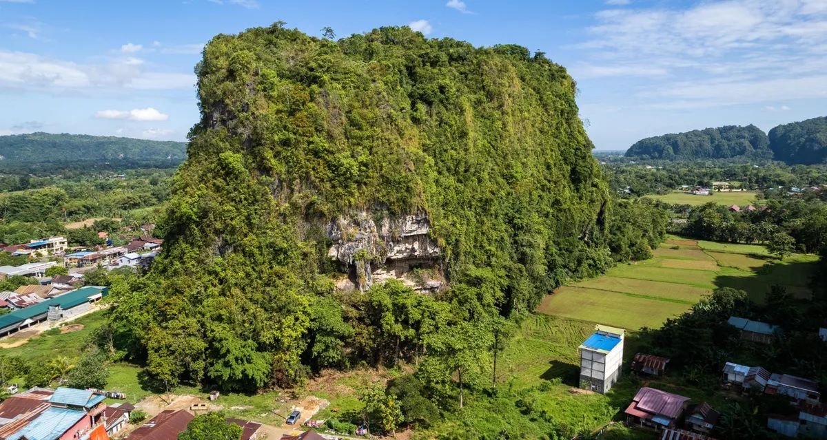 نقاشی‌های ۵۱ هزار ساله؛ کشف کهن‌ترین اثر هنر روایی بشر در اندونزی