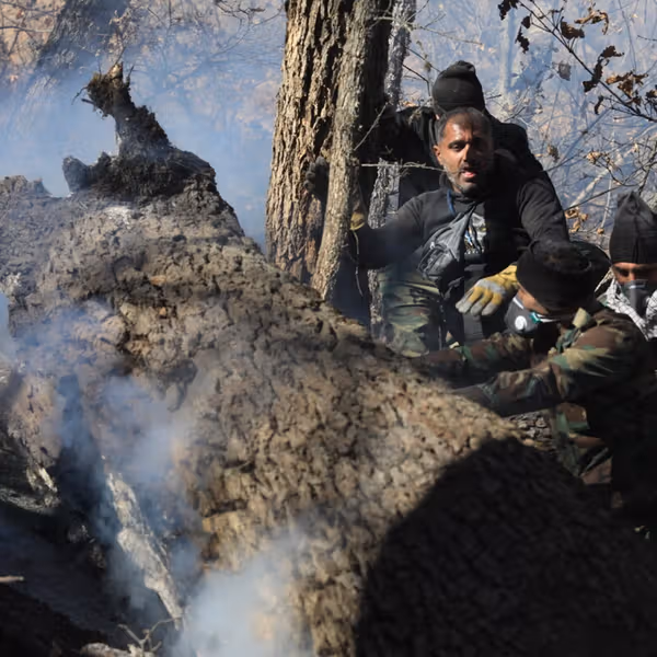 Public criticism mounts over Iran government’s forest fire response