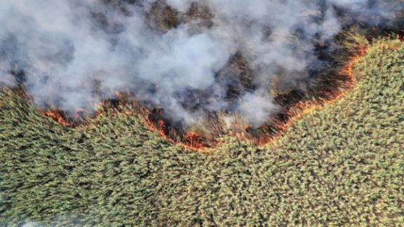 معاون حفاظت محیط زیست خوزستان: آتشسوزی بخش عراقی تالاب هورالعظیم به بخش ایرانی سرایت کرد