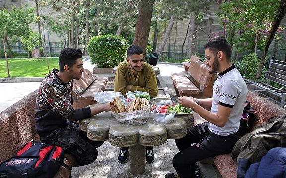Young men having lunch in a Tehran city park.