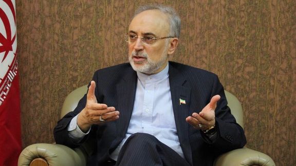 الرئيس السابق لمنظمة الطاقة الذرية الإيرانية: لو لم نرد على إسرائيل لضيقت الخناق علينا